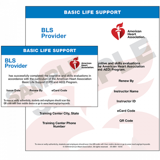 Basic Life Support BLS American Red Cross Same Day Certification